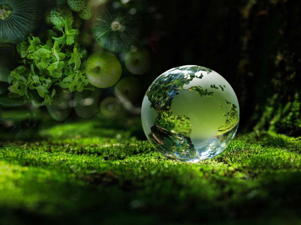 Transparent Earth globe on top of green moss in front of a selection of plant-based foods