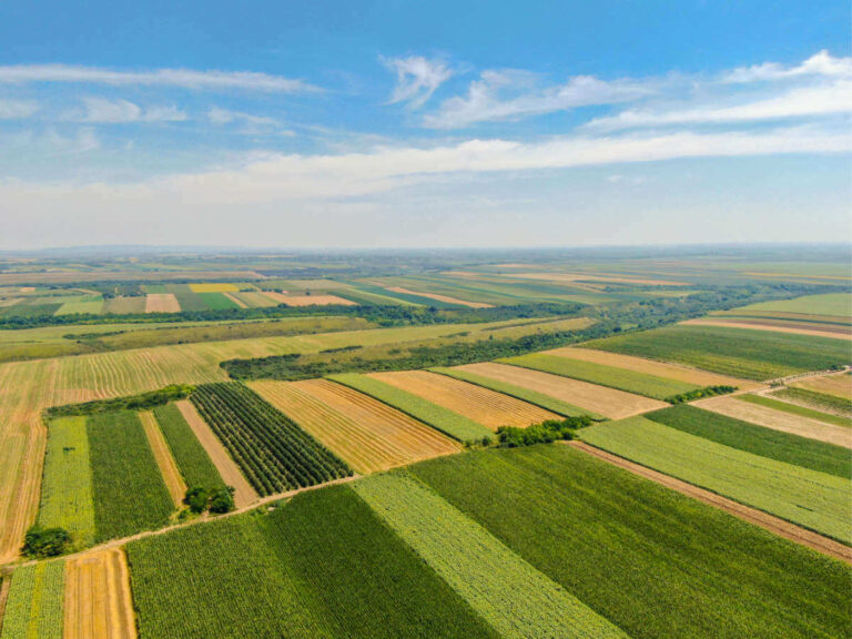 Large stretch of fields growing different crops illustrating the massive land use for agriculture