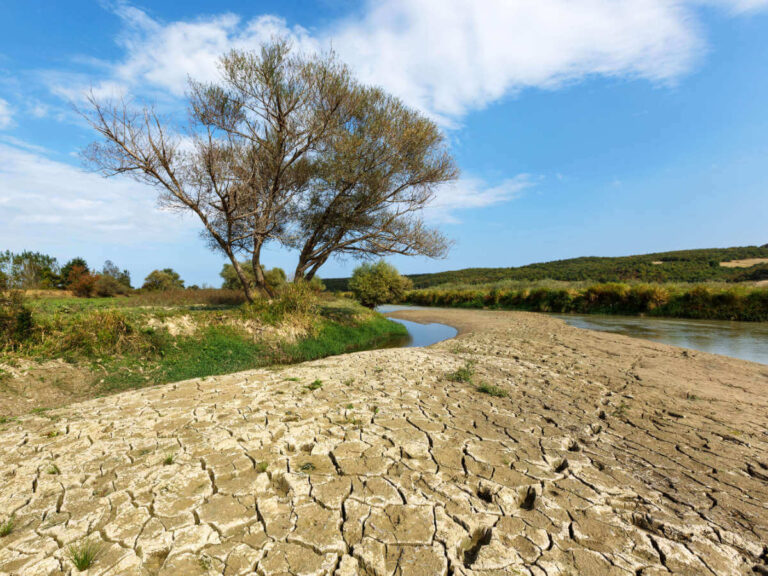 Drought of a river running through a nature landscape with trees and fields