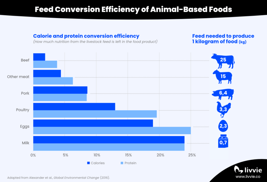 Bar chart showing the feed conversion efficiency in weight, calories, and protein for producing meat, dairy, and eggs