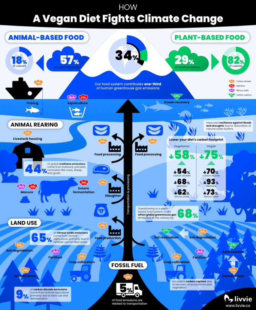 Infographic showing how animal agriculture contributes to greenhouse gas emissions and why a vegan diet fights climate change