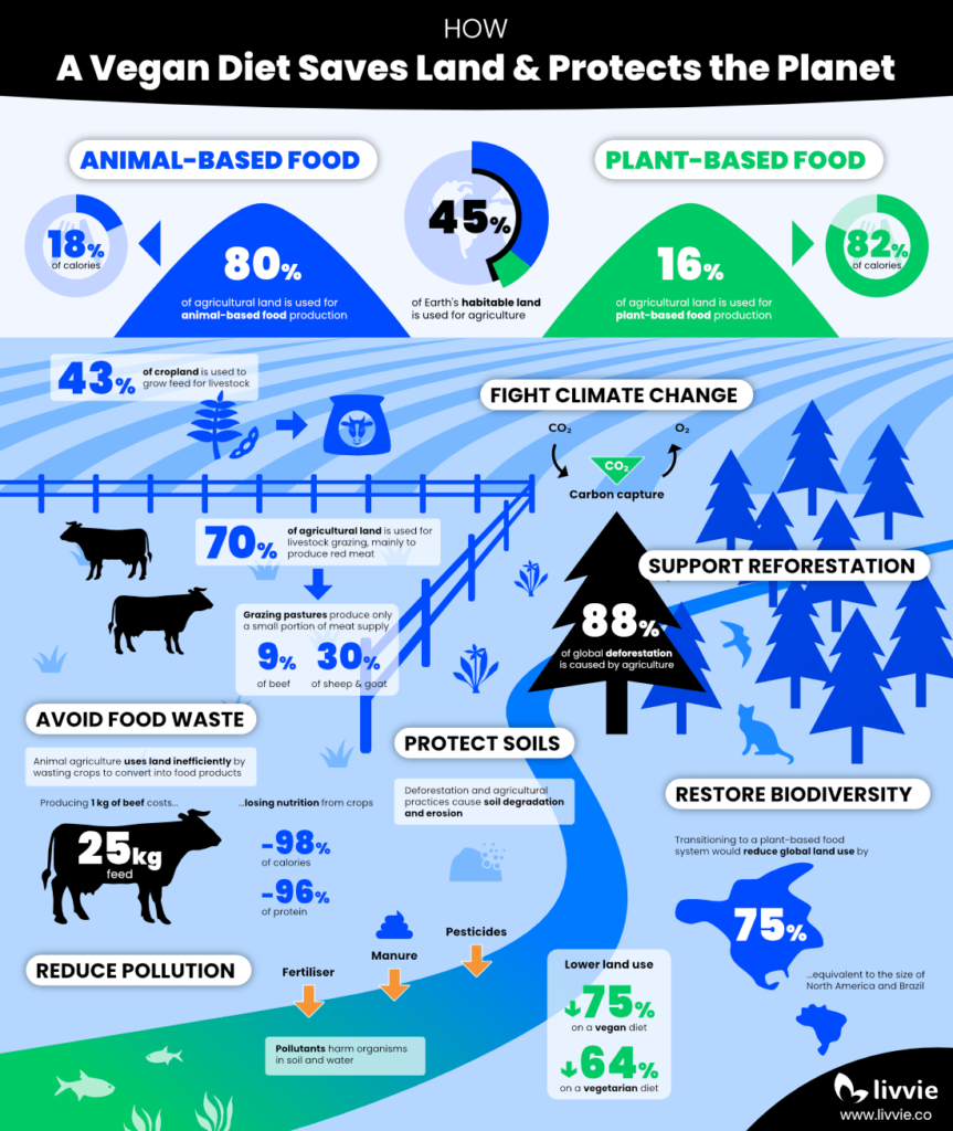 Infographic explaining how a vegan diet reduces land use and benefits the planet by avoiding inefficient livestock farming