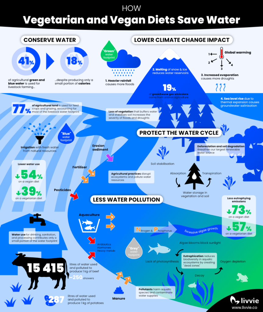 Infographic explaining the high water footprint of animal agriculture and how a vegetarian and vegan diet save water