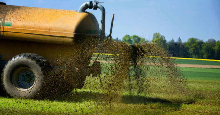 Tractor spreading liquid manure from livestock as fertiliser on agricultural land